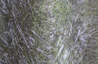 Methwold fibreglass roof work